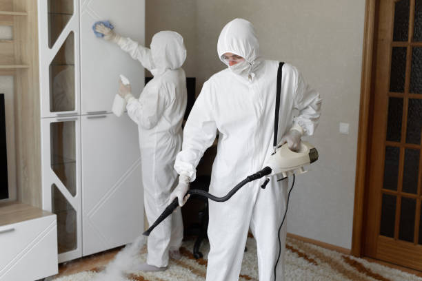 Trusted Unattended Death Cleanup service in Sterling, GA - Four Month Blood Cleanse